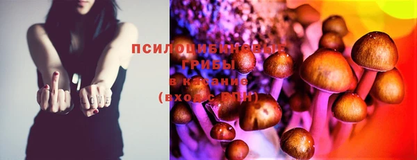 прущая мука Алексин