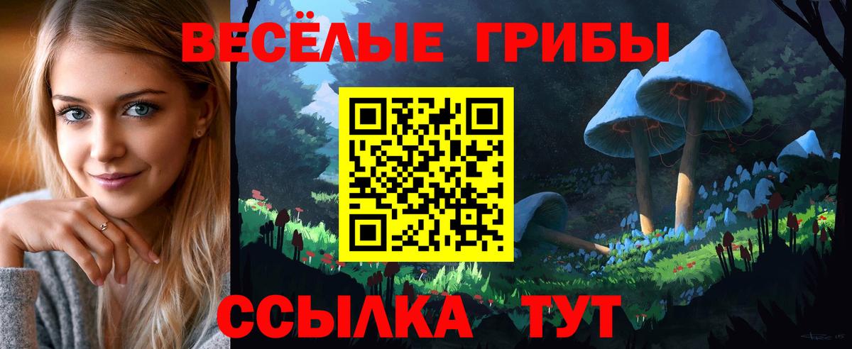 Псилоцибиновые грибы Magic Shrooms  Вход с VPN  Галлюциногенные грибы мицелий  Тында 