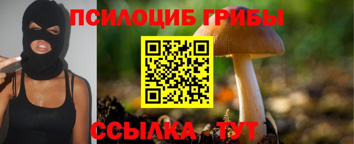 Псилоцибиновые грибы MAGIC MUSHROOMS Тында